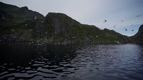 vista panorámica de la bandada de aves marinas que vuelan sobre el océano ondulante en noruega
