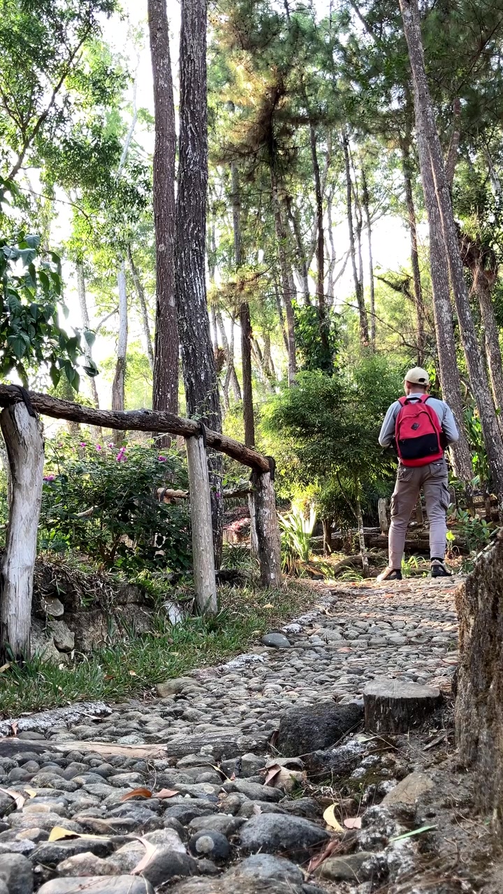 Video verticale al rallentatore da un'angolazione bassa di un escursionista con uno zaino rosso che beve acqua. Si sta riposando su un sentiero di ciottoli in una lussureggiante foresta verde. Concetto di avventura attiva all'aperto.