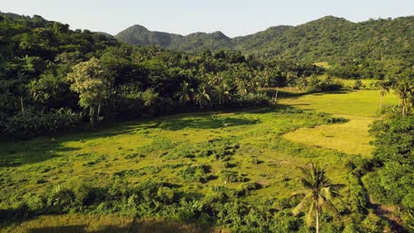 Vista-Aérea-De-Montañas-Y-Bosques-En-La-Provincia-De-Baras,-Catanduanes