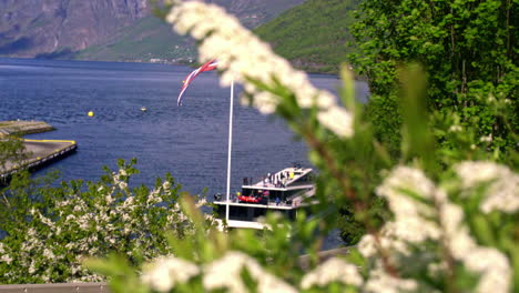 from the port of a magnificent viking valley in norway, where one can oversee the surrounding trees, gazing upon the tourists' boat provides an awe-inspiring sight