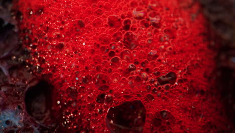 red bubbles macro