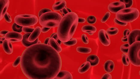 animazione di cellule del sangue su cellule su sfondo rosso