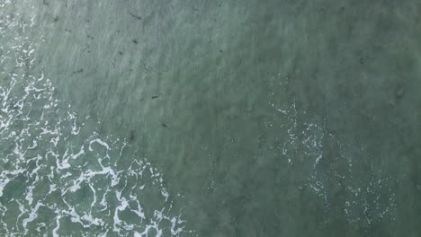 Overhead-view-of-waves-breaking-in-la-Jolla