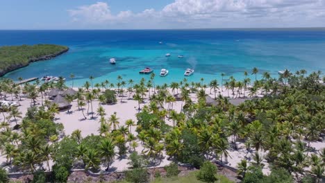aerial trucking shot of tropical palm trees, golden beach and blue caribbean sea during sunny day on catalina island, dominican republic