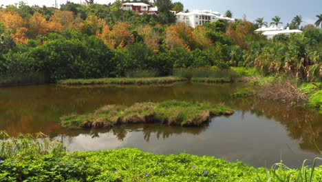 Seymour&#39;s-Farm-Naturschutzgebiet,-Bermuda