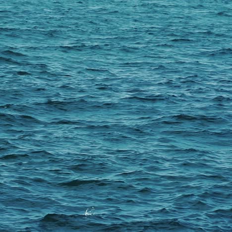 blue sea surface