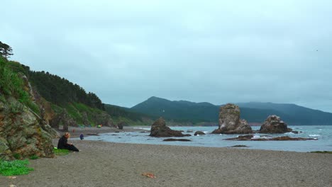 사람과 함께 바위 해변 장면