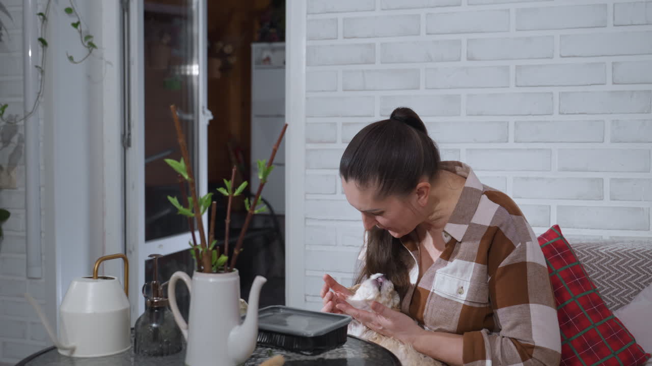 Pet lover seated on sofa petting Tibetan terrier puppy and talking softly while enjoying quiet indoor moment near glass table with potted plant disposable tray gardening tools decor