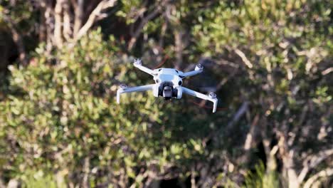 A drone hovers steadily amidst dense greenery in a sunlit park on the Gold Coast, Australia