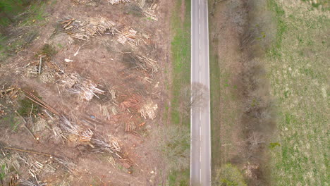 bird's eye view over forest and deforestation area - aerial drone shot