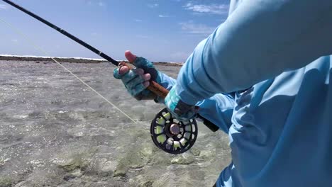 Pescador-Pesca-Con-Mosca-En-Aguas-Claras-Y-Poco-Profundas-En-Un-Día-Soleado