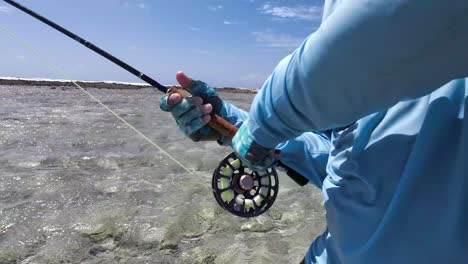 pescador mosca de pesca en aguas claras y poco profundas en un día soleado