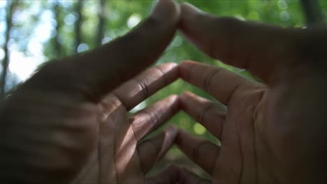 Close-Hands-Nature-Blurry-Background