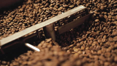 a batch of freshly roasted coffee beans in an industrial blender