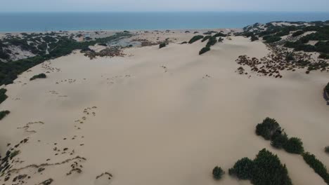 sardina en italia en un paisaje natural de dunas isla costera en unas vacaciones turísticas costa de mar playa de arena bahía de arena con aguas azules y turquesas claras volando por encima de un vuelo de vista aérea de avión no tripulado cinematográfico.
