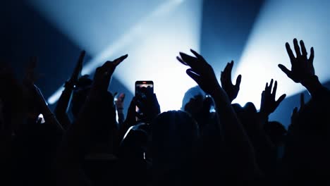 audience members wave their hands in the air, celebrating the energy and excitement of a live music performance