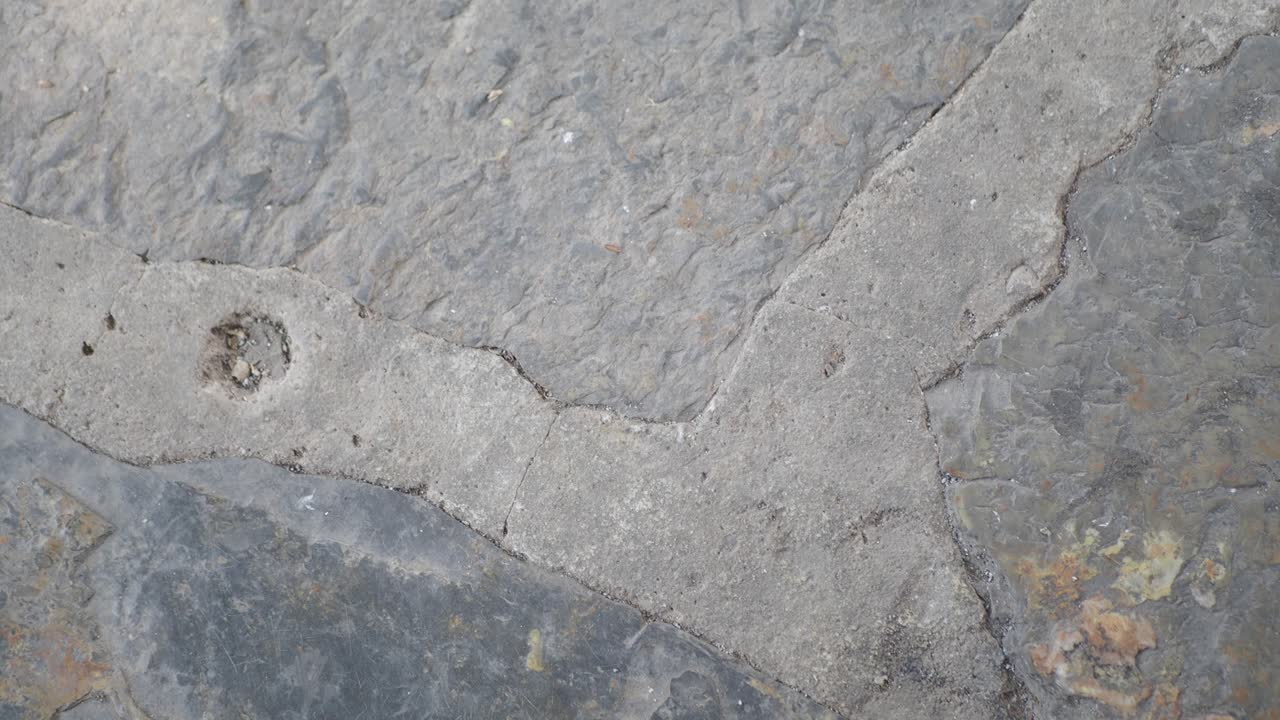 Person holding a phone on the ground