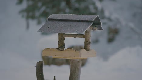 Pequeños-Pájaros-Peleando,-Volando,-Buscando-Y-Comiendo-Comida-En-Una-Casa-De-Pájaros-En-Invierno-Con-La-Naturaleza-Cubierta-De-Nieve-Capturada-En-Cámara-Lenta-En-240fps