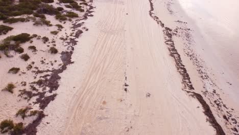 Las-Aguas,-Islas-Y-Penínsulas-De-Shark-Bay-Tienen-Una-Serie-De-Características-Naturales-Excepcionales,-Incluido-Uno-De-Los-Lechos-De-Pastos-Marinos-Más-Grandes-Del-Mundo.