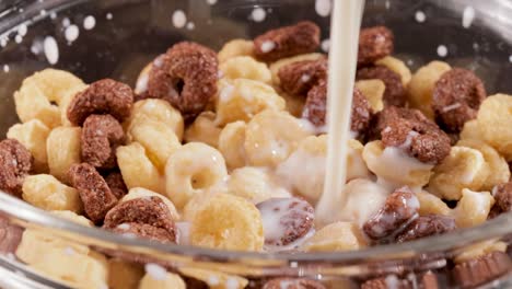 breakfast chocolate corn cereal in a bowl with milk.