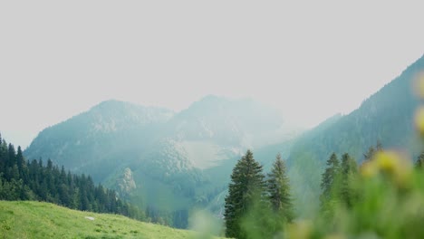 Mountain-valley-on-sunny-day-with-yellow-blurred-flowers-in-foreground,-motion-view