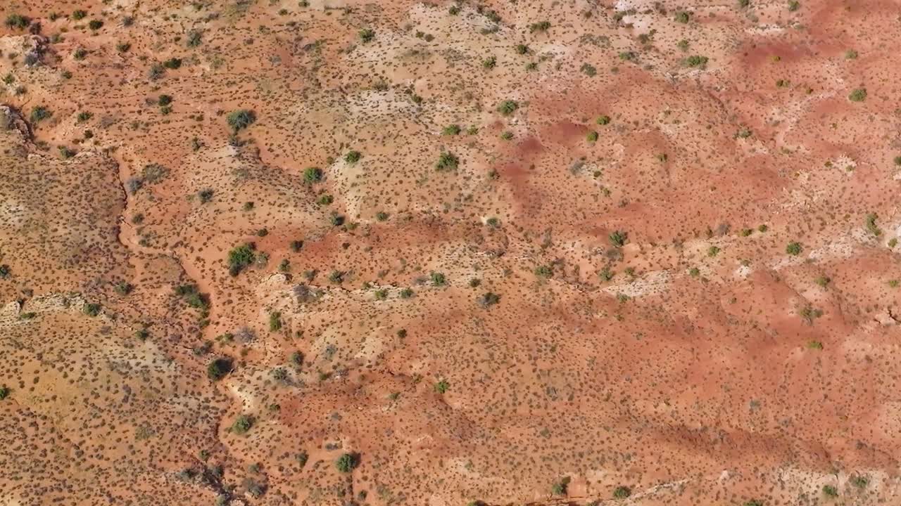 Paesaggio del deserto del Mojave con vegetazione rada e terreno roccioso