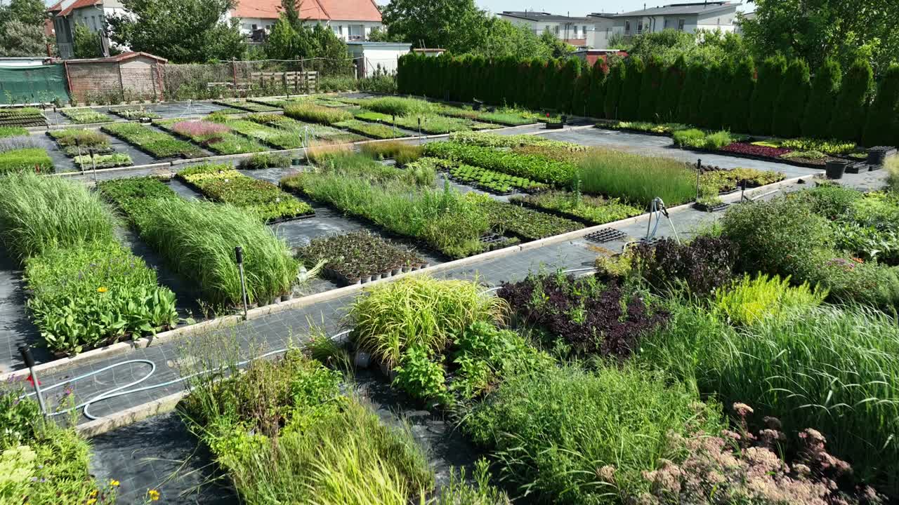 Overview of a large plant nursery with various plants and shrubs