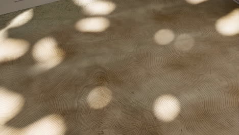 Topographic Map with Leaf Shadows