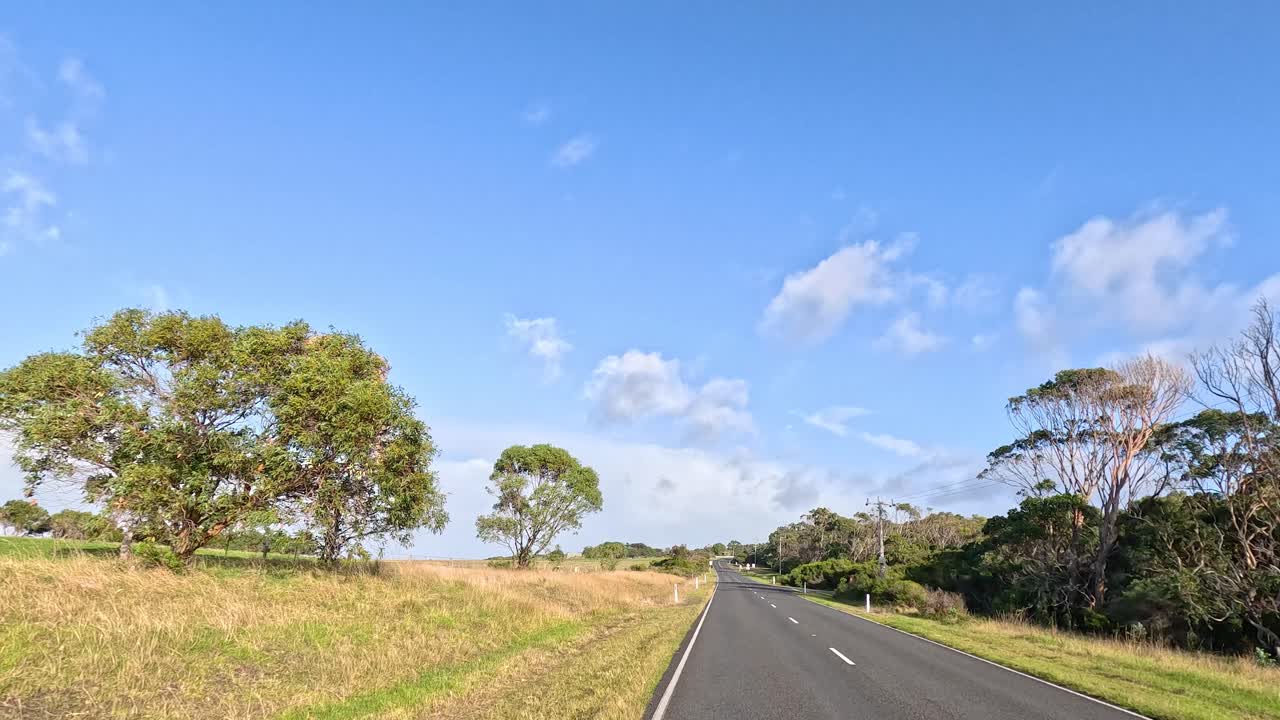 울창한 풍경을 가로질러 평화로운 운전