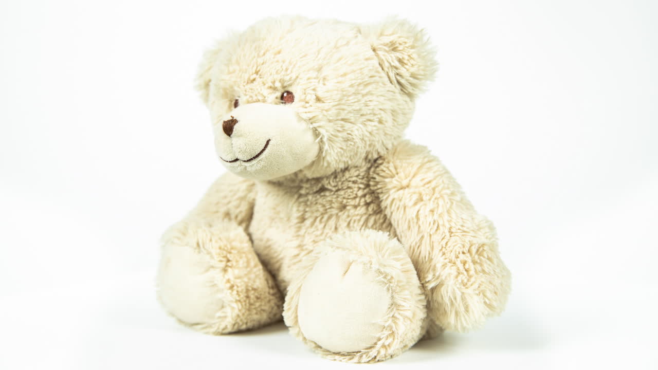 Beige Teddy Bear
