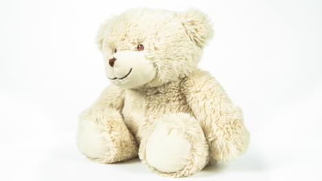 beige teddy bear