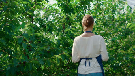 Mujer-Agrónoma-Analizando-Plantas-En-Invernaderos-De-Tierras-De-Cultivo-Modernas-Caminando