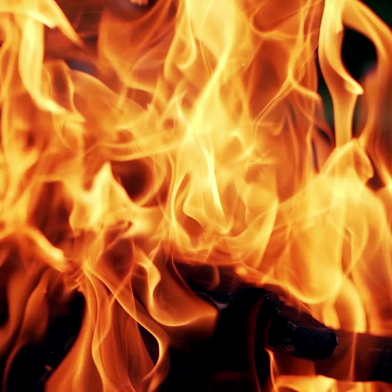 Detailed motion of orange flame on the black background. Close-up bright fantastic flame on firewoods outdoors.