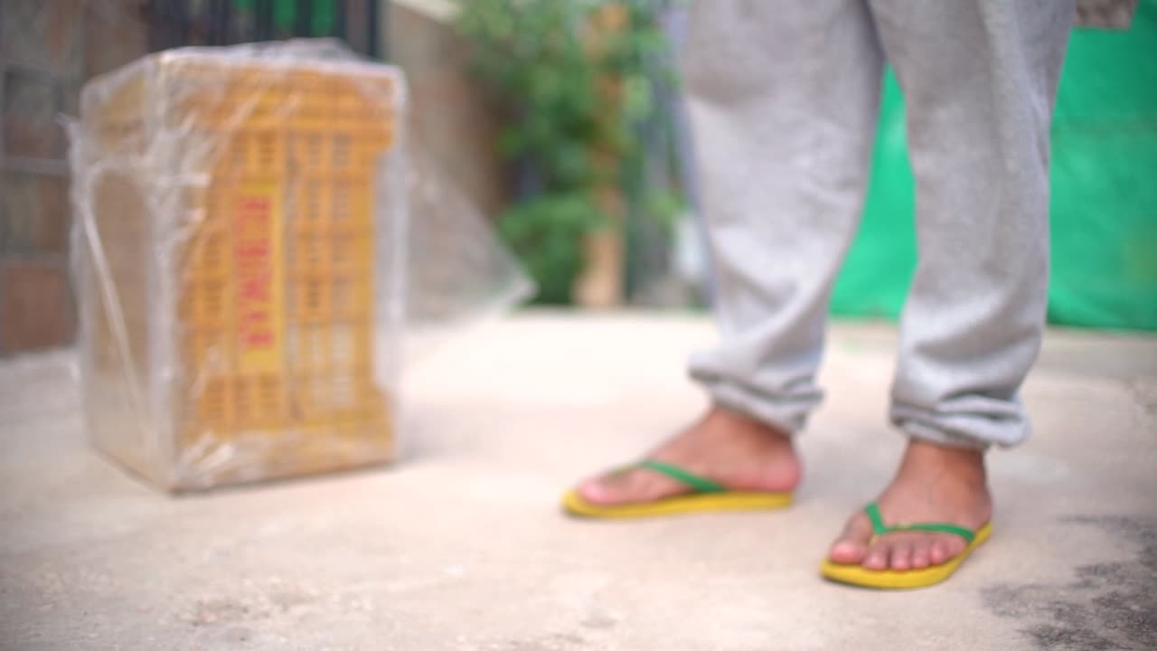 귀여운 작은 아기 고양이들이 바구니에 쓰레기를 넣고 야외에서 는 법을 배우고 있습니다.