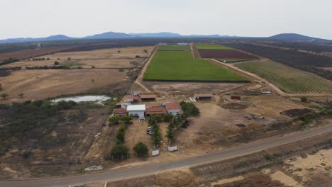 vista aérea de una gran plantación de viñedos en las zonas rurales de brasil