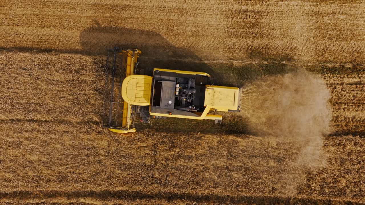 Drone, top down view of machine cutting ripe wheat field under soft sunset skies