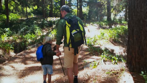 father and son hiking with trekking poles