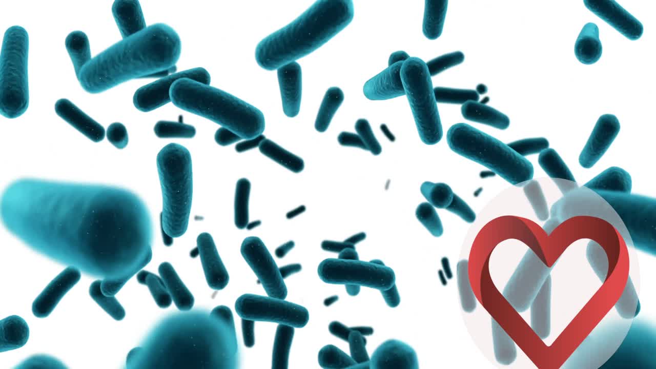 animación de células del corazón y del virus flotando sobre un fondo blanco