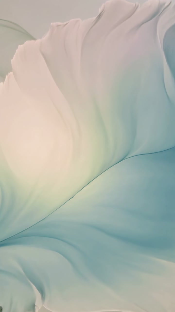 Vertical video: Slow pan moving petal fold downward in tight macro crop, revealing cream teal sweep