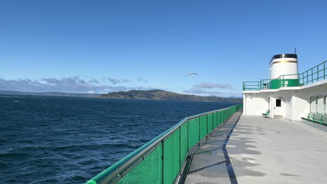 sea gull flying next to ferry crossing the water