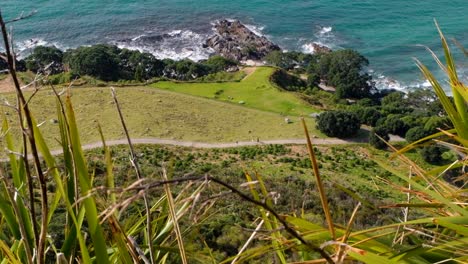 People-walking-and-hiking-up-Mount-Maunganui-landmark-in-Tauranga,-North-Island-of-New-Zealand-Aoteaoroa