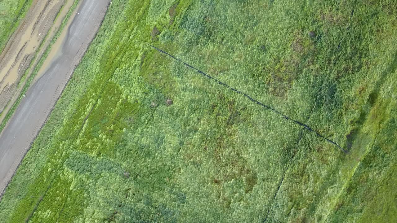 volando sobre un campo grande