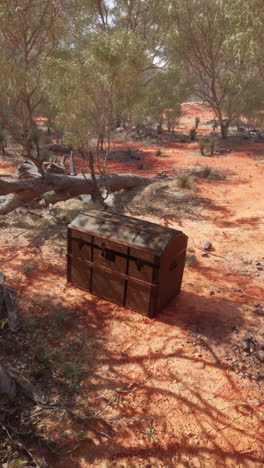 old chest found in the australian outback
