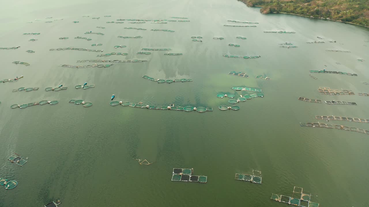 필리핀 타알 호수 (taal lake) 에 있는 생선 농장.
