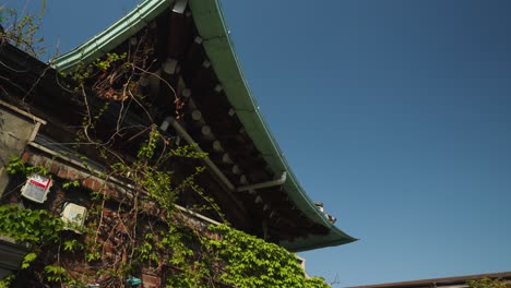 a dynamic view captures the intricate layers of a traditional korean hanok roof structure with prominent wooden beams and tiled eaves, highlighting architectural depth and craftsmanship, parallax shot