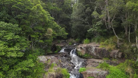 Morans-Falls,-Una-Cascada-De-Inmersión-En-Morans-Creek-Ubicada-En-El-Parque-Nacional-Lamington