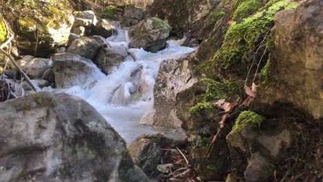 Maravilla-De-La-Naturaleza-Congelada-Río-Schlattbach-Suiza,-Plano-Medio