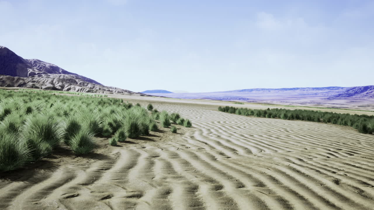 Desert has gentle dunes and sparse plants under clear skies