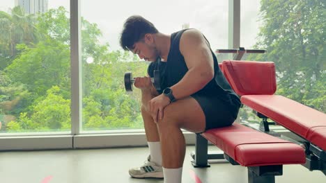 a person performs bicep curls with dumbbells on a bench in a well-lit gym