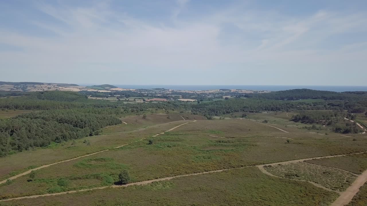 Aerial View of a Landscape with Hills, Trees, and the Sea